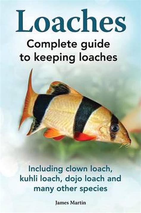 Loaches complete guide to keeping loaches including clown loach kuhli. - Study guide for cdcr written test.